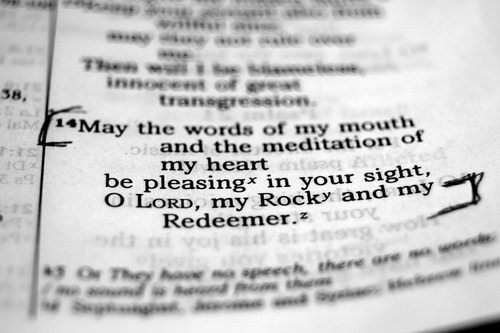 psalm 19 14 open book