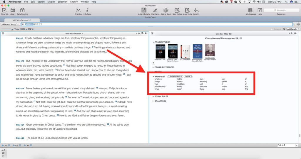 accordance 12 info pane word list