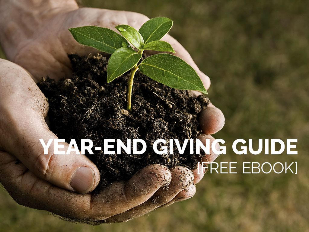 Year-End Giving Guide [Free ebook]