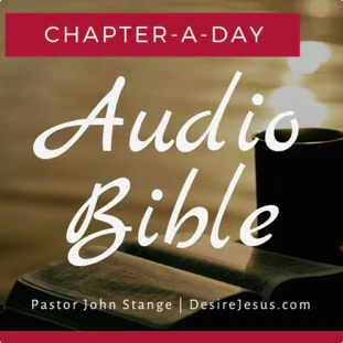 Chapter-A-Day Audio Bible