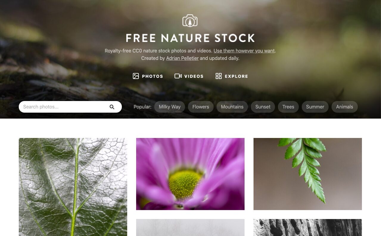 Free Nature Stock