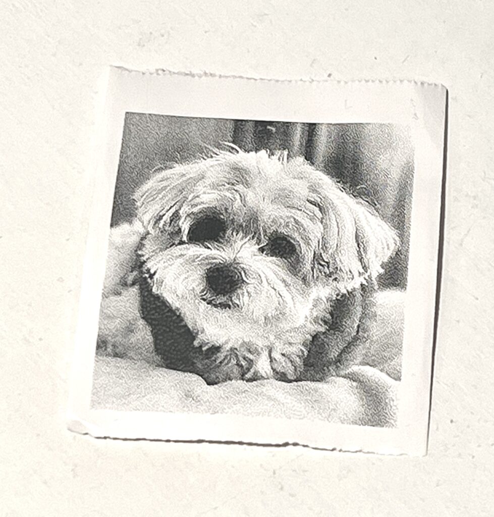 thermal printer picture stickers