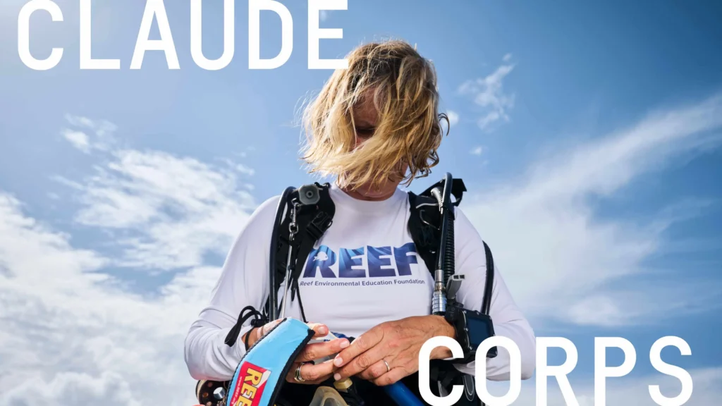 There's a Fellowship That Pays $85K to Help Nonprofits Use AI. College Students In Your Church Community Should Know About It. 1 claude corps college grad jobs